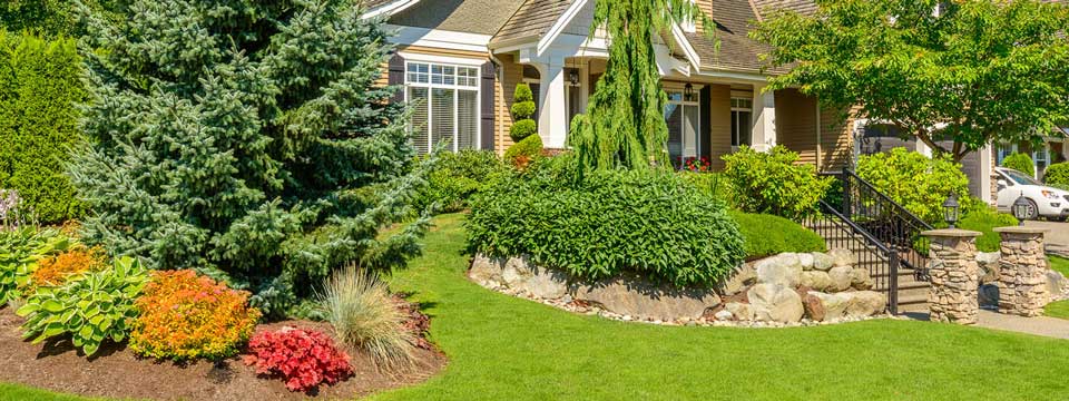 How to Landscape my Front Yard