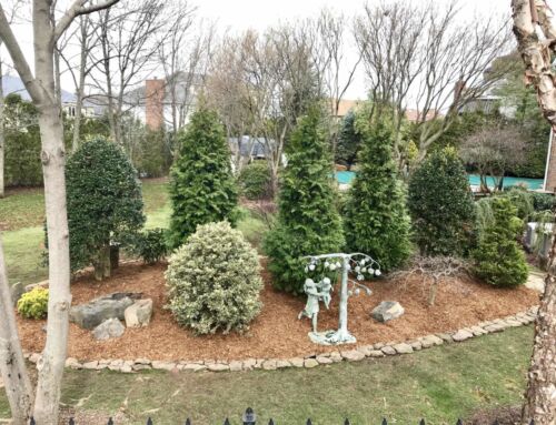 Should I Hire a Professional Landscaper?