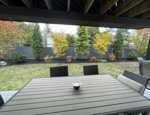 Why Fall Is the Best Time for Landscaping